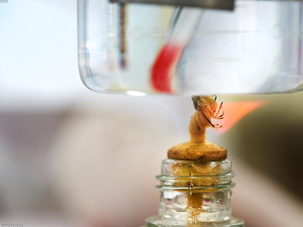 បញ្ហានិងដំណោះស្រាយសំរាប់ការរៀន