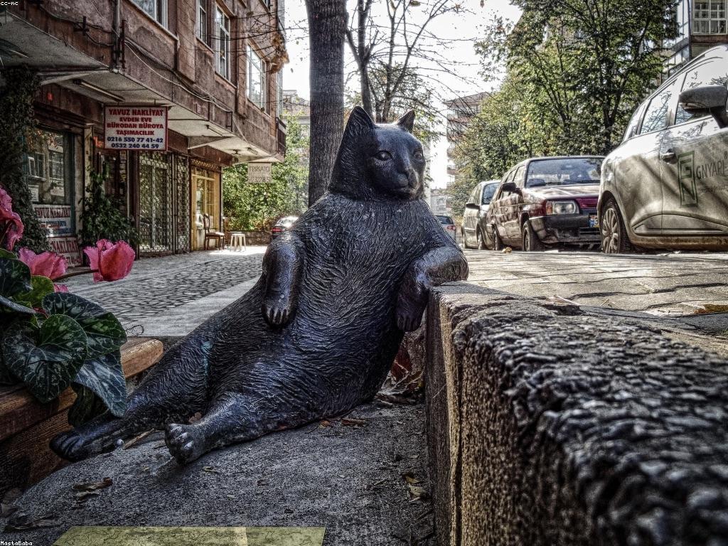 សូមរៀនពីស្លុត: ស្លុតជាអ្វី និងអ្វីដែលអ្នកគួរតែដឹងអាពីពួកគេ